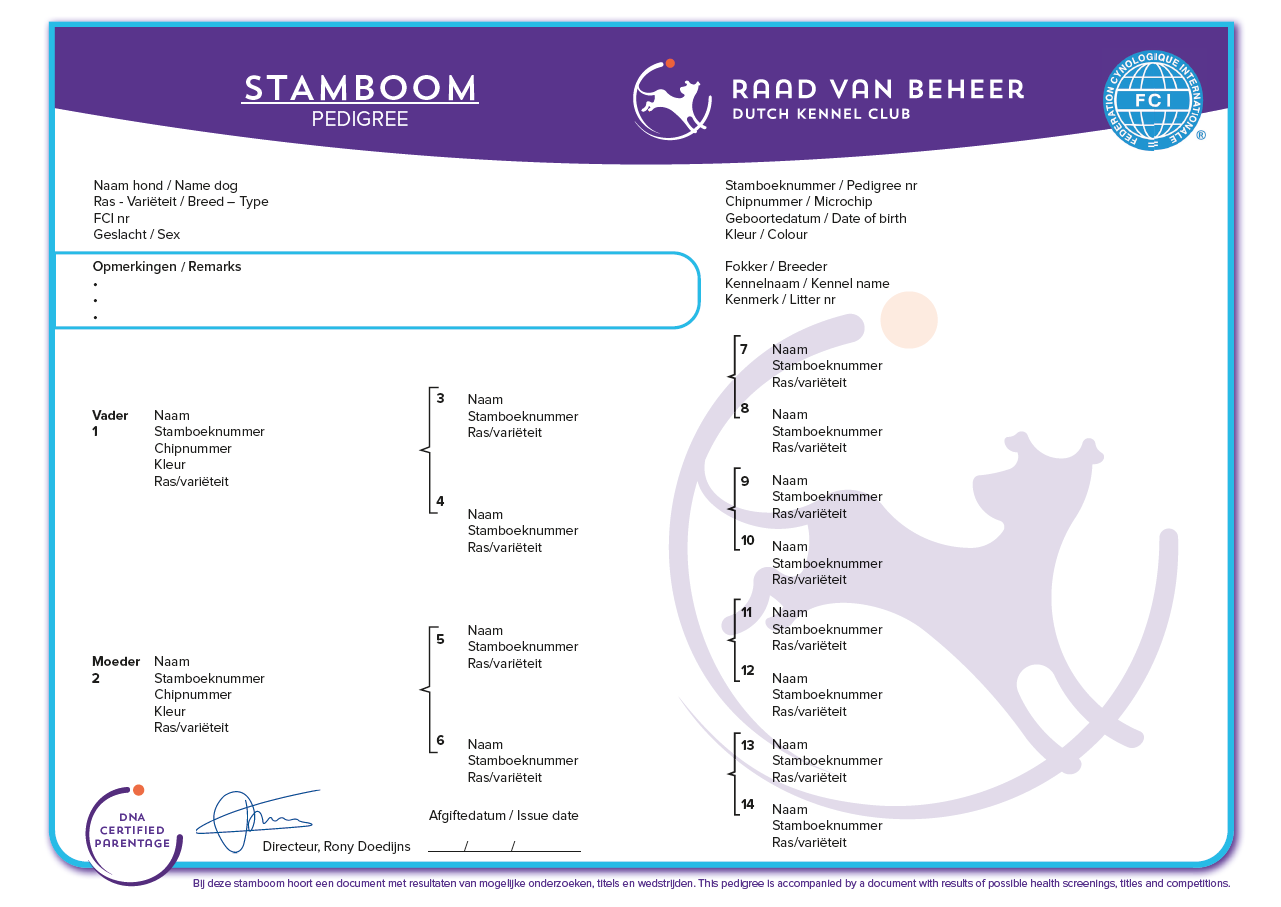 tegenkomen Knuppel elektrode Wat is een stamboomhond