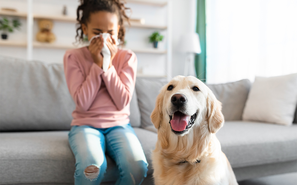 honden allergie