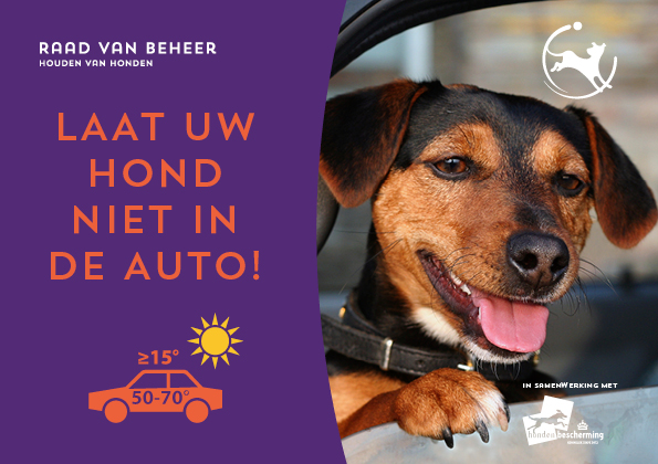 Middeleeuws invoer transmissie tips voor warm weer en honden