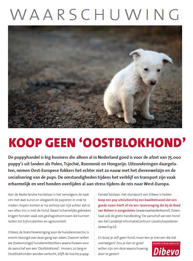 waarschuwing dibevo koop geen oostblokhond